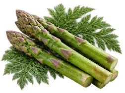 Asparagus extract — Prostazone Plus ingredient